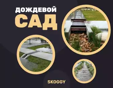 Дождевой сад Дождевой сад