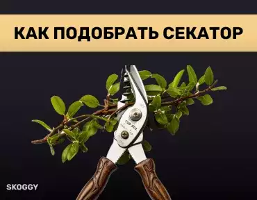 Подбираем идеальный секатор Подбираем идеальный секатор